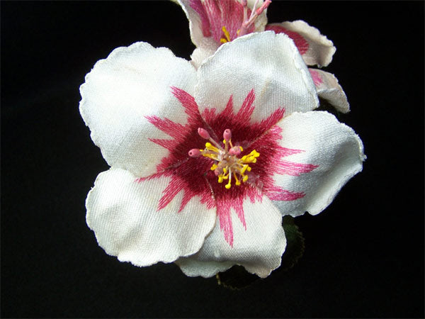 White Hibiscus