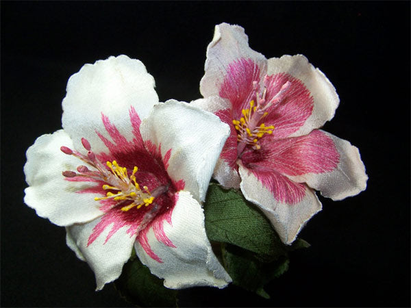 White Hibiscus