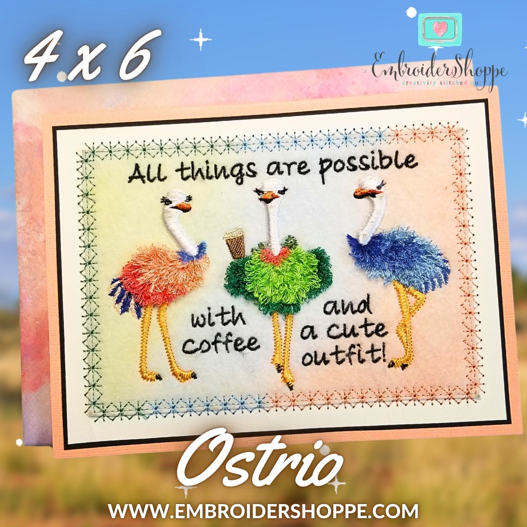 4 x 6 Ostrio