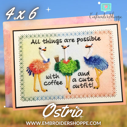 4 x 6 Ostrio