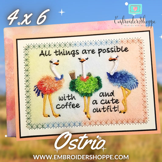 4 x 6 Ostrio