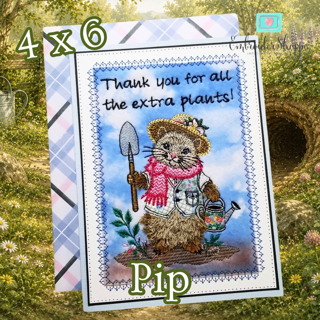 4 x 6 Pip