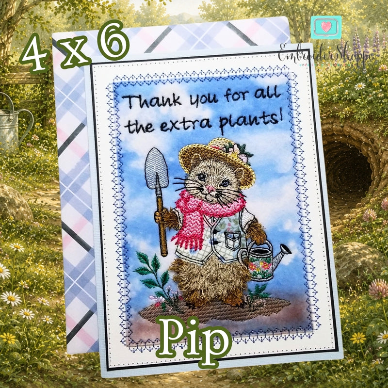 4 x 6 Pip