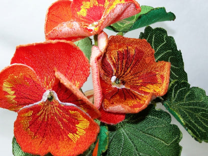 Orange Pansy