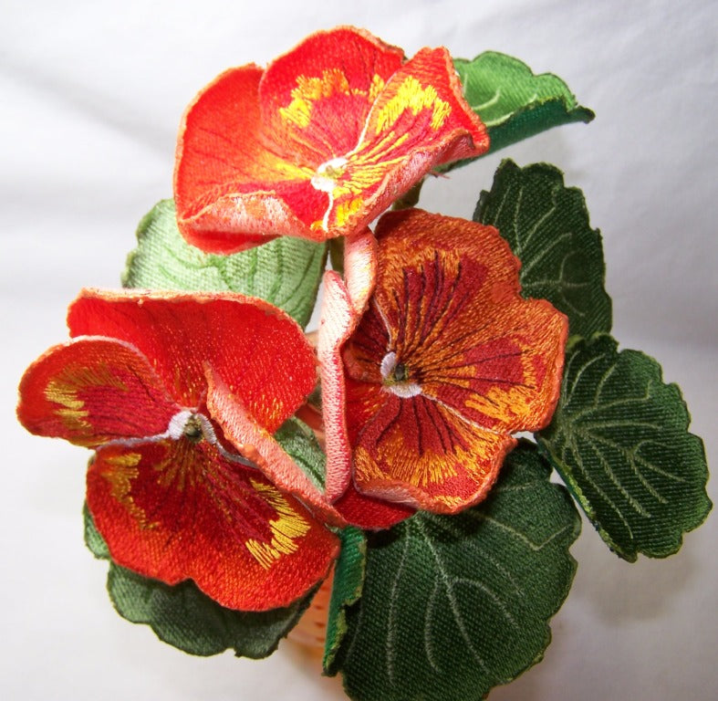 Orange Pansy