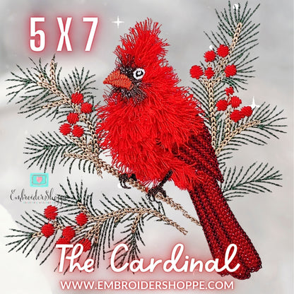 5 x 7 The Cardinal
