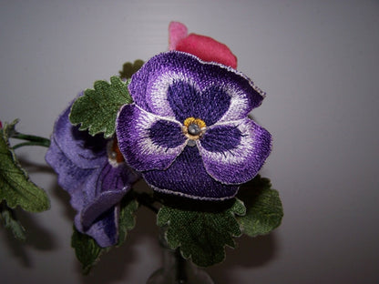 Purple Pansy