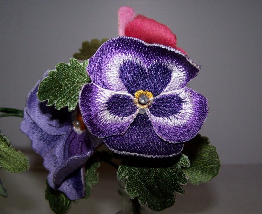 Purple Pansy