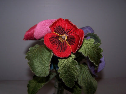 Red Pansy