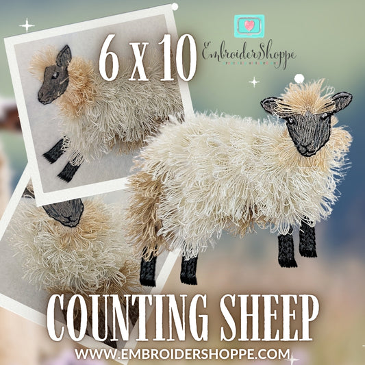6 x 10 Counting Sheep