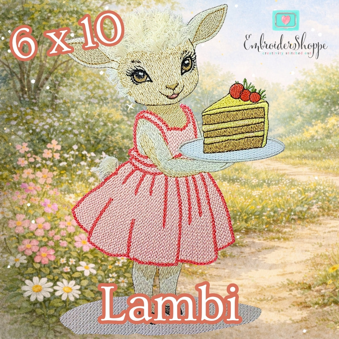 6 x 10 Lambi
