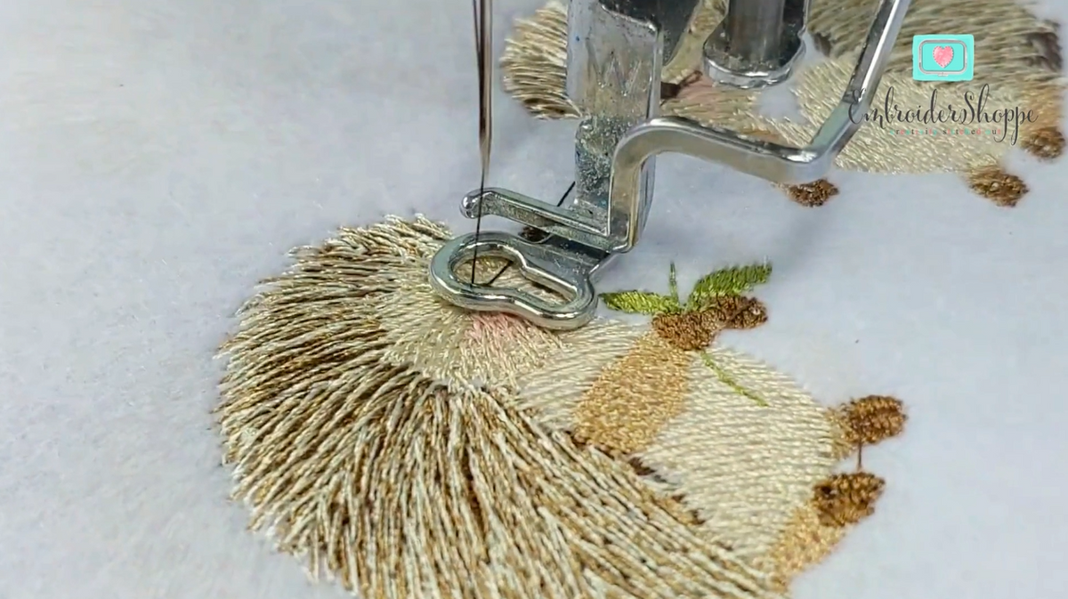 6 x 10 Hedgies Frame