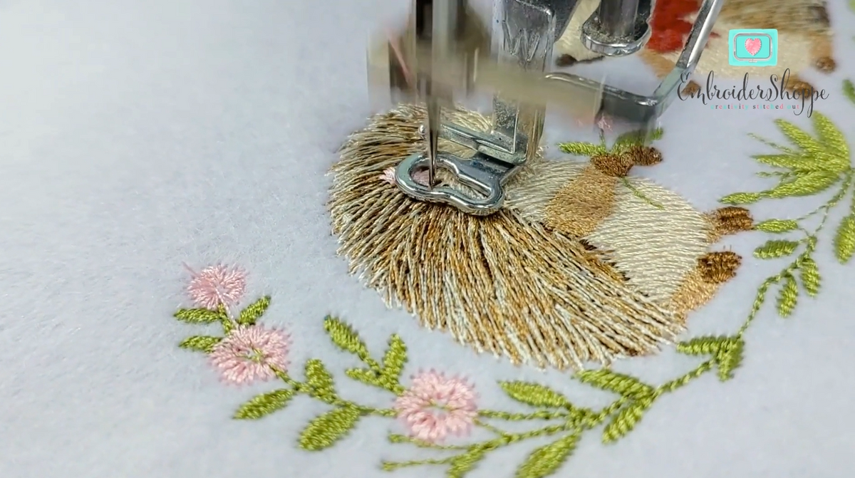 6 x 10 Hedgies Frame