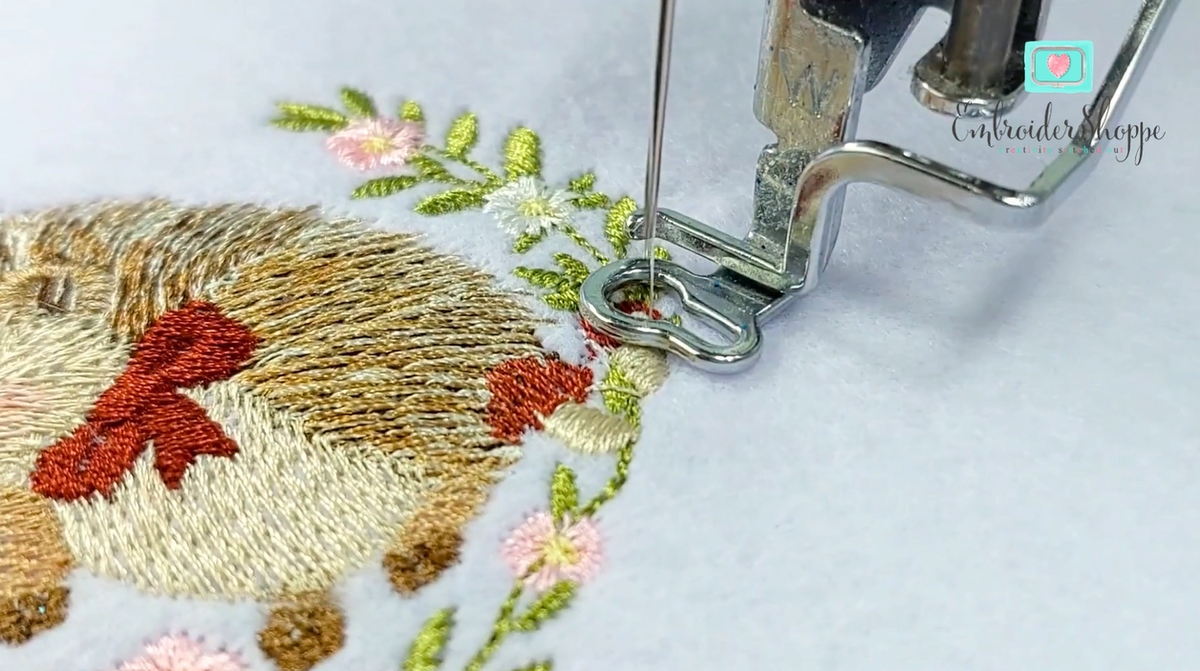 6 x 10 Hedgies Frame