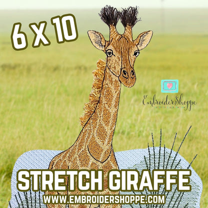 6 x 10 Stretch The Giraffe