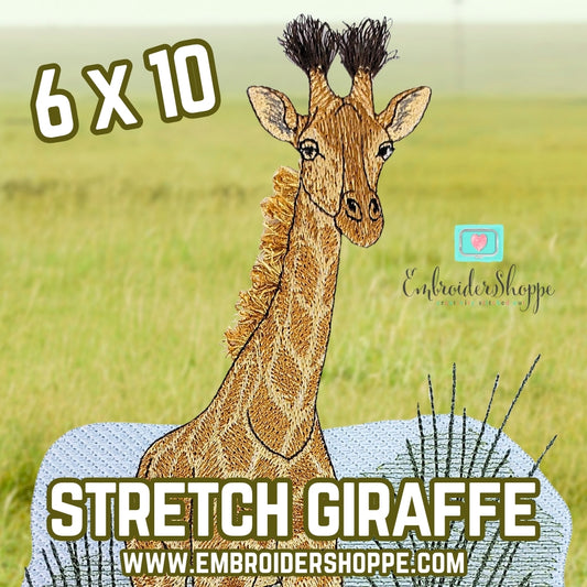 6 x 10 Stretch The Giraffe