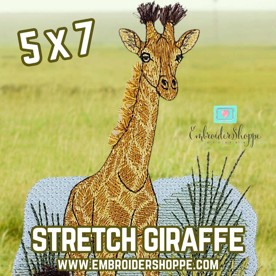 5 x 7 Stretch The Giraffe