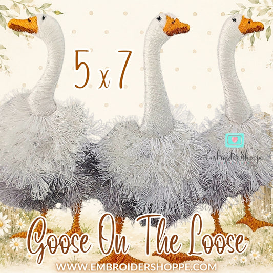 5x7 Goose On The Loose