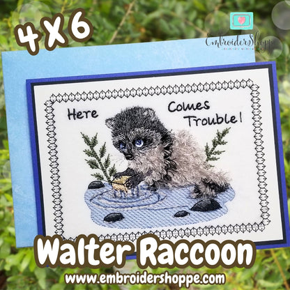 4 x 6 Walter Raccoon