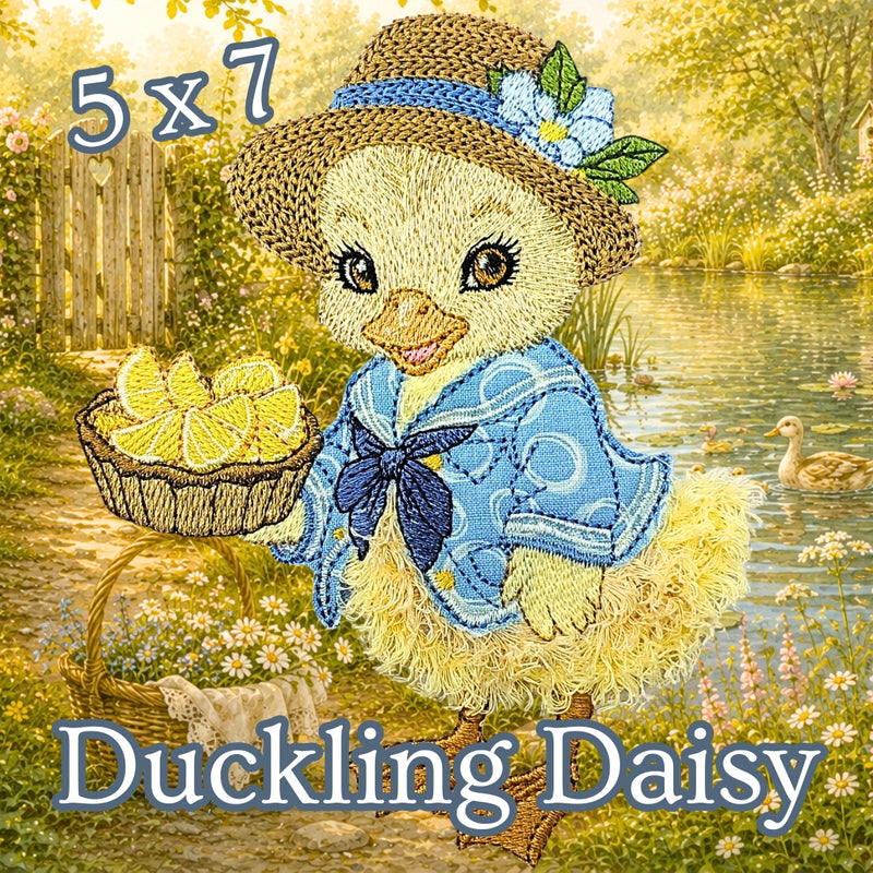 5 x 7 Duckling Daisy