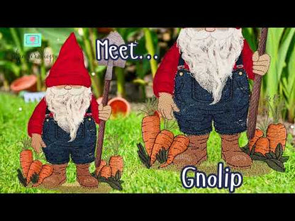 6 x 10 Gnolip
