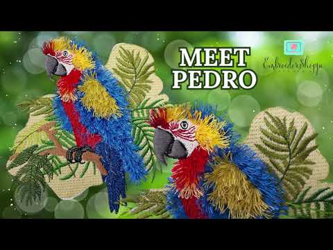 5 x 7 Pedro