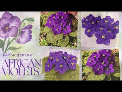 Mothers Day African Violets